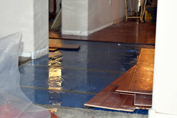 Professional Emergency Water Damage Restoration technician working in Holden, UT